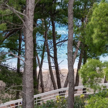 Appartement Zdravka *