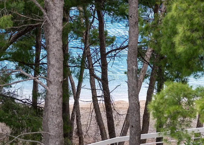 Apartament Zdravka *