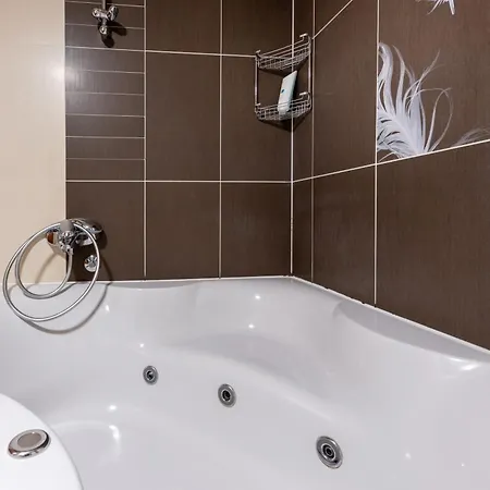 Zdravka アパート *